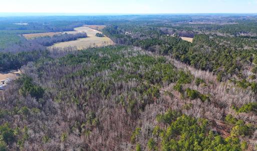 Photo #28 of Off Quaker Road, Dinwiddie, VA 30.0 acres