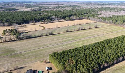 Photo #11 of Off Joe Gardner Road, Grifton, NC 28.0 acres