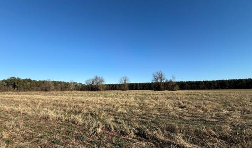 Photo #19 of Off Joe Gardner Road, Grifton, NC 28.0 acres