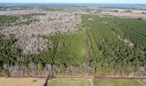 Photo #23 of Off Joe Gardner Road, Grifton, NC 28.0 acres