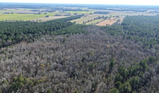 Photo #24 of Off Joe Gardner Road, Grifton, NC 28.0 acres