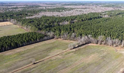 Photo #27 of Off Joe Gardner Road, Grifton, NC 28.0 acres