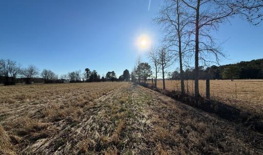 Photo #31 of Off Joe Gardner Road, Grifton, NC 28.0 acres