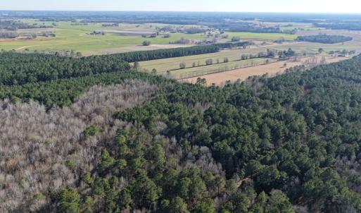 Photo #34 of Off Joe Gardner Road, Grifton, NC 28.0 acres