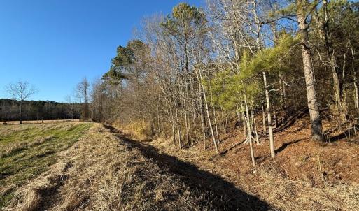 Photo #38 of Off Joe Gardner Road, Grifton, NC 28.0 acres