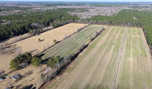Photo #8 of Off Joe Gardner Road, Grifton, NC 28.0 acres