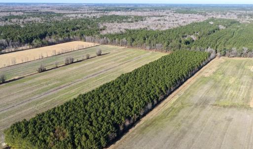 Photo #10 of Off Joe Gardner Road, Grifton, NC 28.0 acres