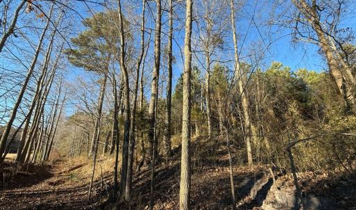 Photo #41 of Off Joe Gardner Road, Grifton, NC 28.0 acres