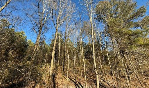 Photo #42 of Off Joe Gardner Road, Grifton, NC 28.0 acres