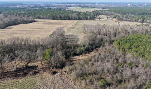 Photo #20 of Lot 1 Off of  Euray Moore Road, Warsaw, NC 10.1 acres