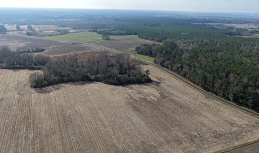 Photo #34 of Lot 1 Off of  Euray Moore Road, Warsaw, NC 10.1 acres