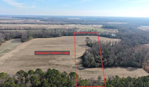 Photo #2 of Lot 3 Off of  Euray Moore Road, Warsaw, NC 10.1 acres