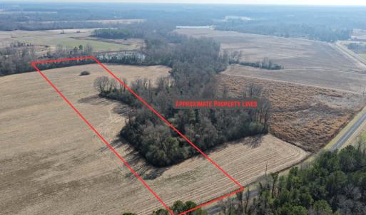 Photo #5 of Lot 3 Off of  Euray Moore Road, Warsaw, NC 10.1 acres