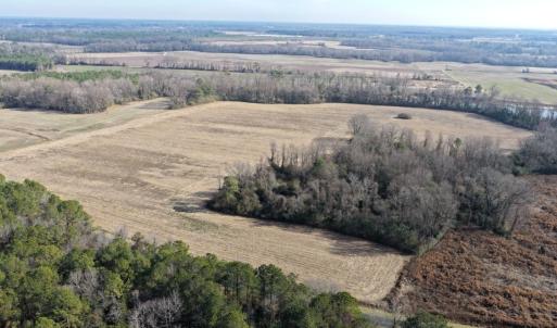 Photo #6 of Lot 3 Off of  Euray Moore Road, Warsaw, NC 10.1 acres