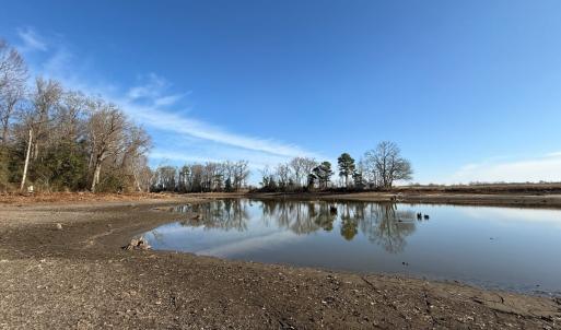 Photo #9 of Lot 3 Off of  Euray Moore Road, Warsaw, NC 10.1 acres
