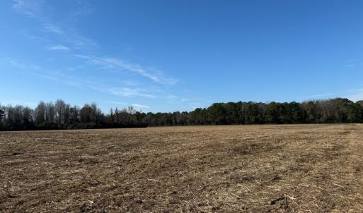 Photo #29 of Lot 3 Off of  Euray Moore Road, Warsaw, NC 10.1 acres