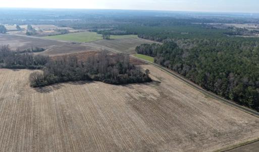 Photo #19 of Lot 4 Off of  Euray Moore Road, Warsaw, NC 12.2 acres