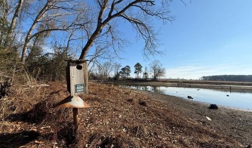 Photo #9 of Lot 4 Off of  Euray Moore Road, Warsaw, NC 12.2 acres