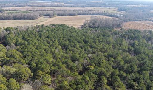 Photo #39 of Lot 5 Off of  Euray Moore Road, Warsaw, NC 6.2 acres