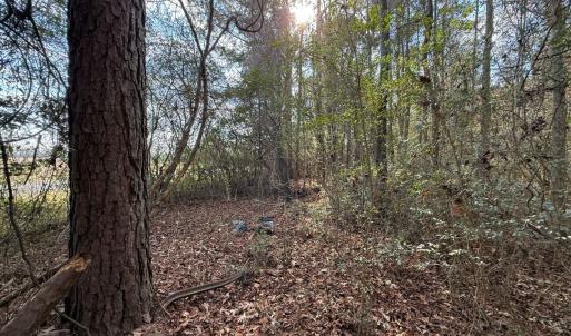 Photo #7 of Lot 5 Off of  Euray Moore Road, Warsaw, NC 6.2 acres