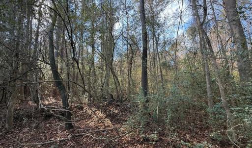 Photo #17 of Lot 6 Off of Euray Moore Road, Warsaw, NC 5.6 acres