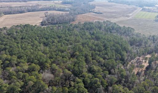 Photo #39 of Lot 6 Off of Euray Moore Road, Warsaw, NC 5.6 acres