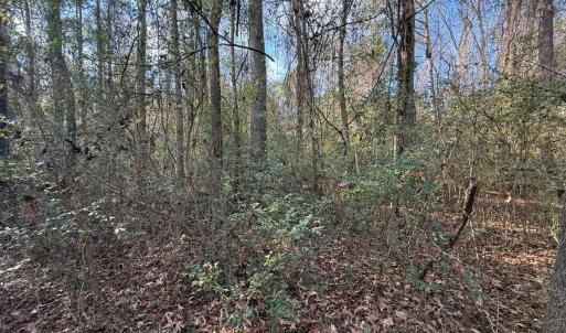 Photo #35 of Lot 7 Off of Euray Moore Road, Warsaw, NC 2.7 acres