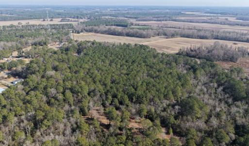 Photo #41 of Lot 7 Off of Euray Moore Road, Warsaw, NC 2.7 acres
