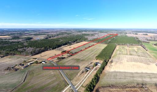 Photo #2 of Off Joe Gardner Road, Grifton, NC 28.0 acres