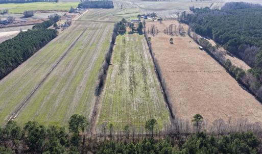 Photo #14 of Off Joe Gardner Road, Grifton, NC 28.0 acres