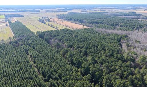 Photo #18 of Off Joe Gardner Road, Grifton, NC 28.0 acres