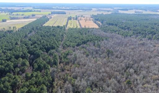 Photo #19 of Off Joe Gardner Road, Grifton, NC 28.0 acres
