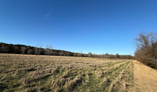 Photo #20 of Off Joe Gardner Road, Grifton, NC 28.0 acres