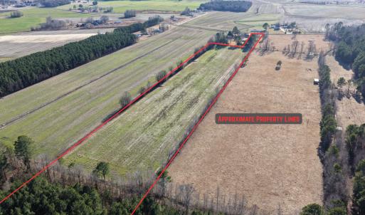 Photo #3 of Off Joe Gardner Road, Grifton, NC 28.0 acres