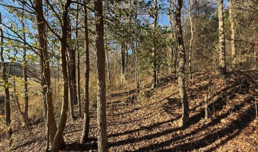 Photo #7 of Off Joe Gardner Road, Grifton, NC 28.0 acres