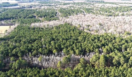 Photo #8 of Off Joe Gardner Road, Grifton, NC 28.0 acres