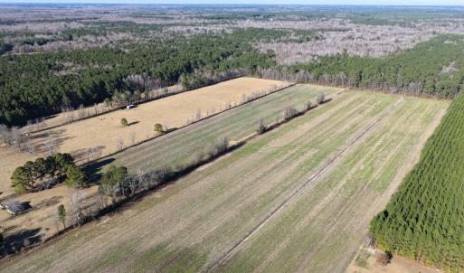 Photo #9 of Off Joe Gardner Road, Grifton, NC 28.0 acres