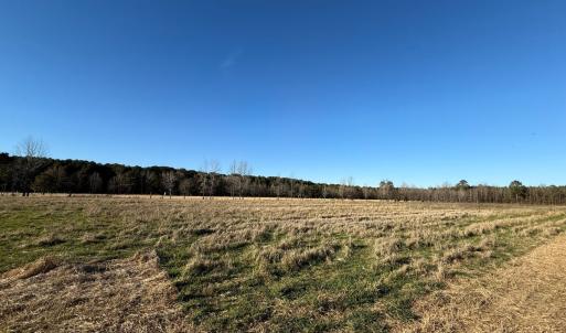 Photo #23 of Off Joe Gardner Road, Grifton, NC 28.0 acres