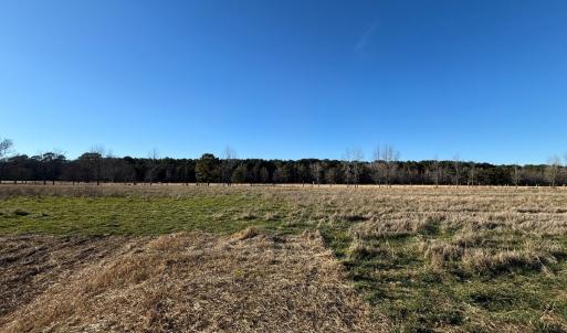 Photo #24 of Off Joe Gardner Road, Grifton, NC 28.0 acres