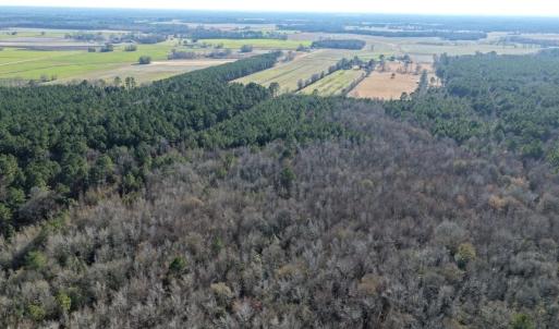 Photo #27 of Off Joe Gardner Road, Grifton, NC 28.0 acres