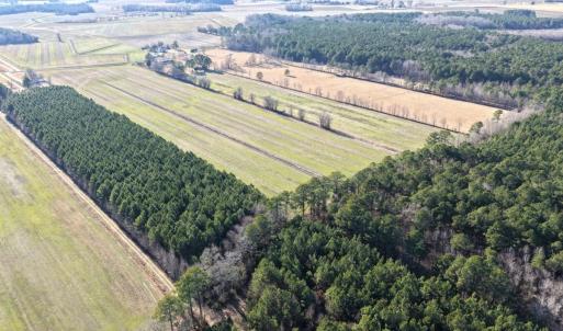 Photo #28 of Off Joe Gardner Road, Grifton, NC 28.0 acres