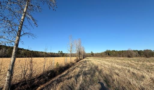Photo #31 of Off Joe Gardner Road, Grifton, NC 28.0 acres