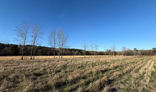 Photo #32 of Off Joe Gardner Road, Grifton, NC 28.0 acres