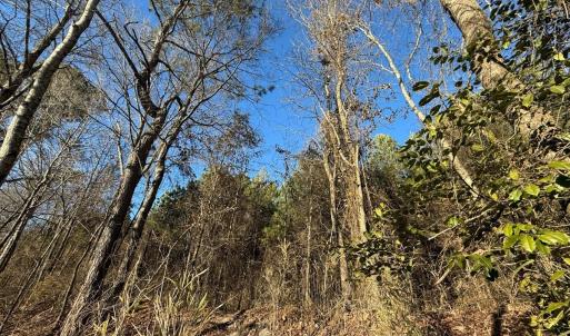 Photo #34 of Off Joe Gardner Road, Grifton, NC 28.0 acres