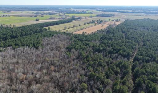Photo #35 of Off Joe Gardner Road, Grifton, NC 28.0 acres