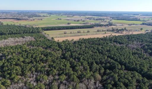 Photo #37 of Off Joe Gardner Road, Grifton, NC 28.0 acres