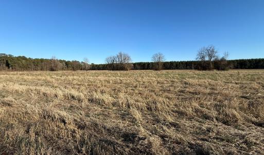 Photo #38 of Off Joe Gardner Road, Grifton, NC 28.0 acres