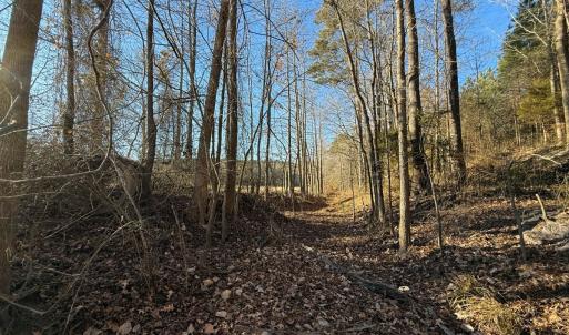 Photo #42 of Off Joe Gardner Road, Grifton, NC 28.0 acres