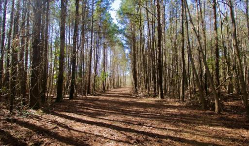 Photo #2 of Off Knobbs Creek Rd, Elizabeth City, NC 611.0 acres