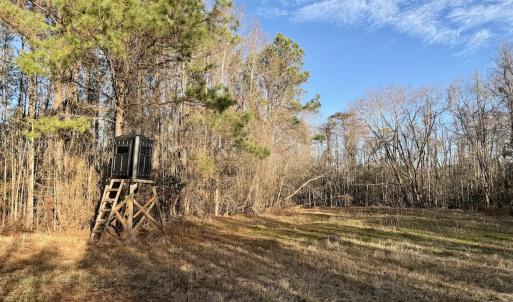 Photo #4 of Off Knobbs Creek Rd, Elizabeth City, NC 611.0 acres